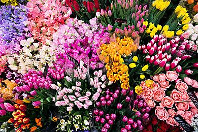 Epic商店月活跃玩家8000万 正在全力追赶Steam